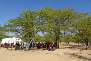 Himba villagers sit under tree 