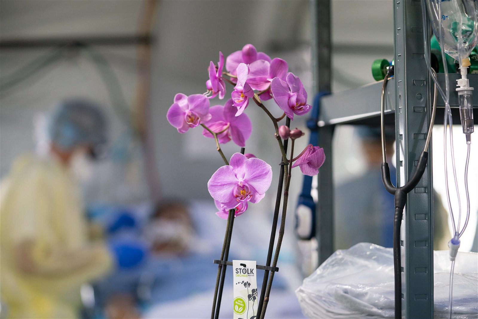 Donated flowers brightened spirits in the ICU in Cremona during Easter week.